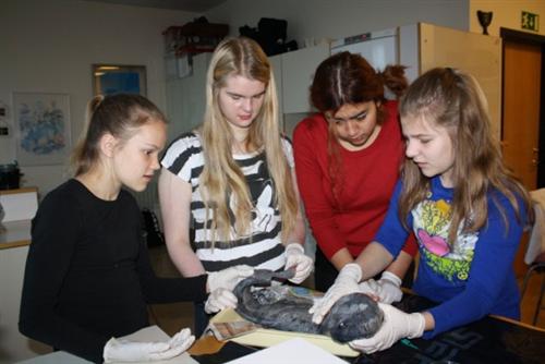 Áhugasamir nemendur.