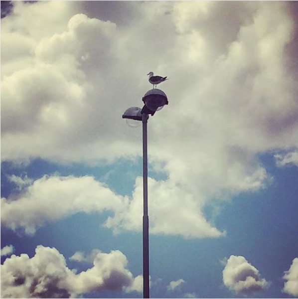 Slökkt verður á ljósastaurum í Reykjanesbæ 1. júní til 15. júlí