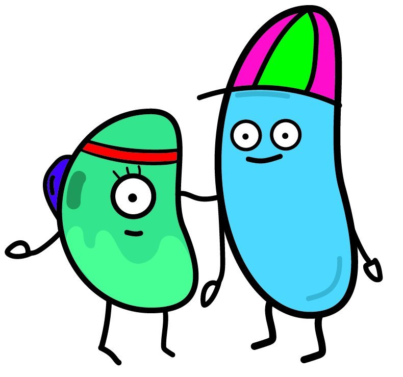 Tvær baunir á leið í ævintýri