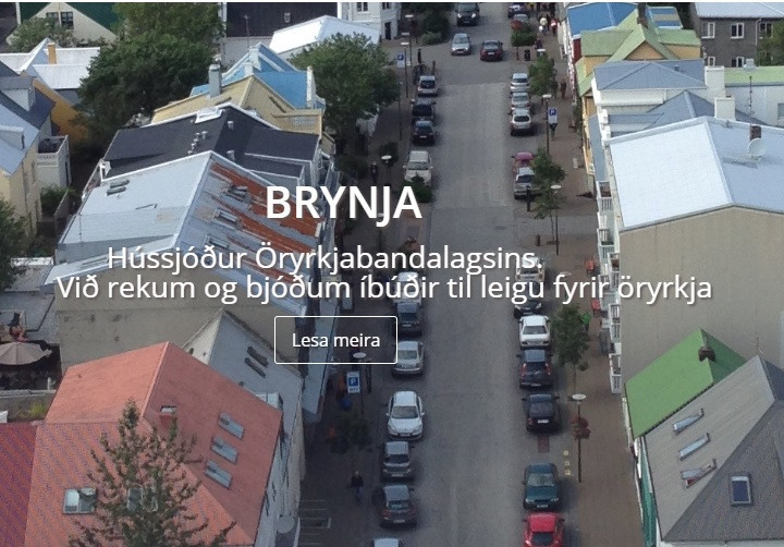 Einkennismynd vefjar Brynju Hússjóðs ÖBÍ. Skjáskot af www.brynjahus.is