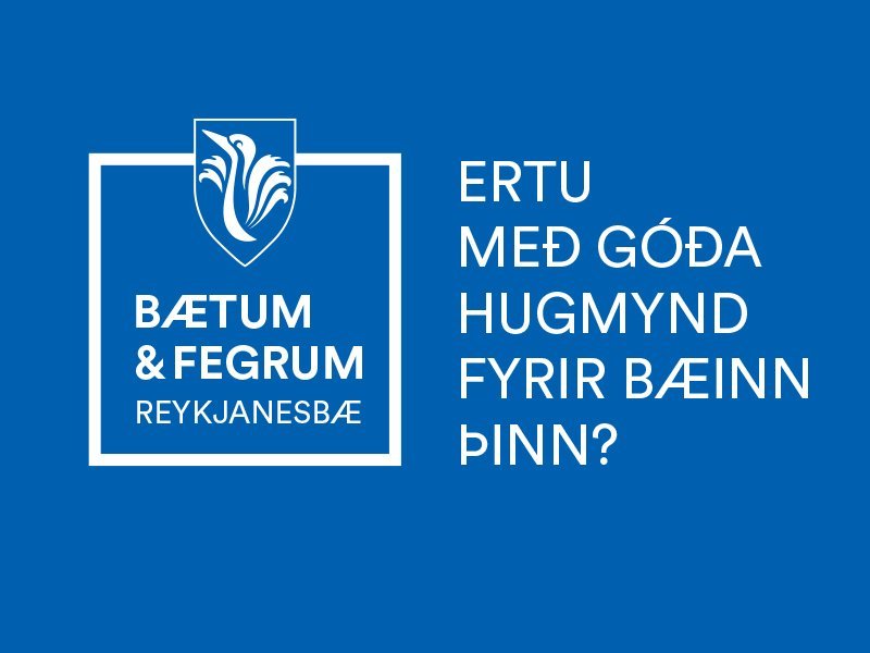 Hugmyndasöfnun 2021