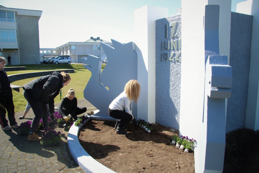 Starfsfólk í garðyrkjuhópi gerir fínt fyrir 17. júní hátíðarhöldin í skrúðgarði.