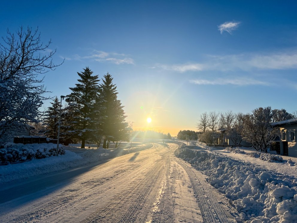 Myndin er frá því í fyrra