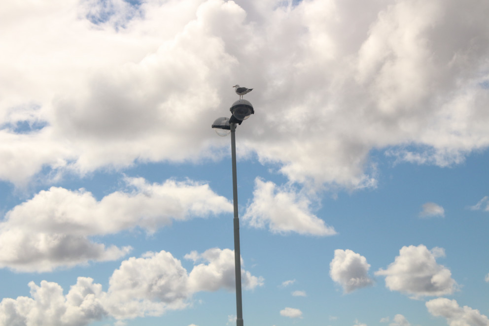 Slökkt verður á öllum ljósastaurum í Reykjanesbæ frá 1. júní til 15. júlí.