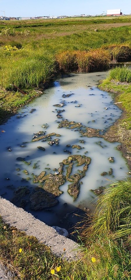 Hér má sjá mengunina á tjörnunum við Fitjar. Ljósmyndin er tekin af Facebook síðunni Reykjanesbær-g…
