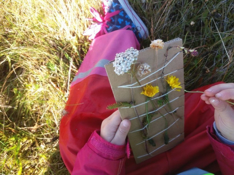 Úr verkefni Skógaráss um litla vistfræðinginn. Ljósmynd: Skógarás