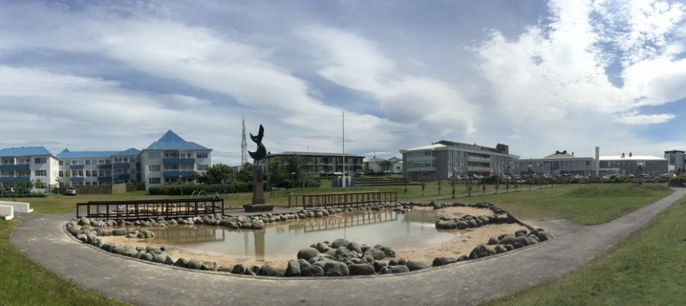 Kynningarfundur um heilbrigðisstefnu til ársins 2030 verður haldinn í fundarsal Heilbrigðisstofnuna…