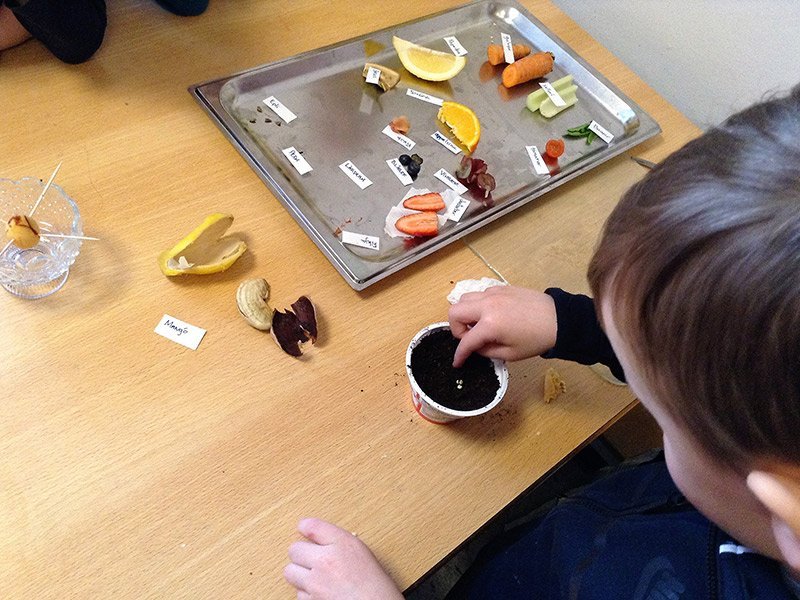 Leikskólinn Tjarnarsel