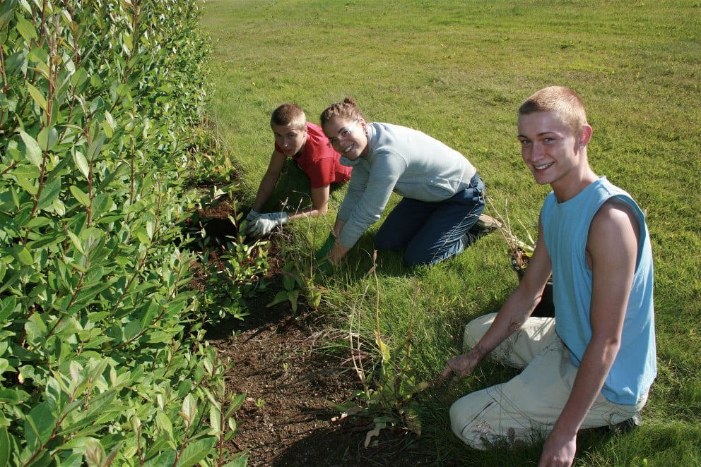 Frá Vinnuskóla Reykjanesbæjar.
