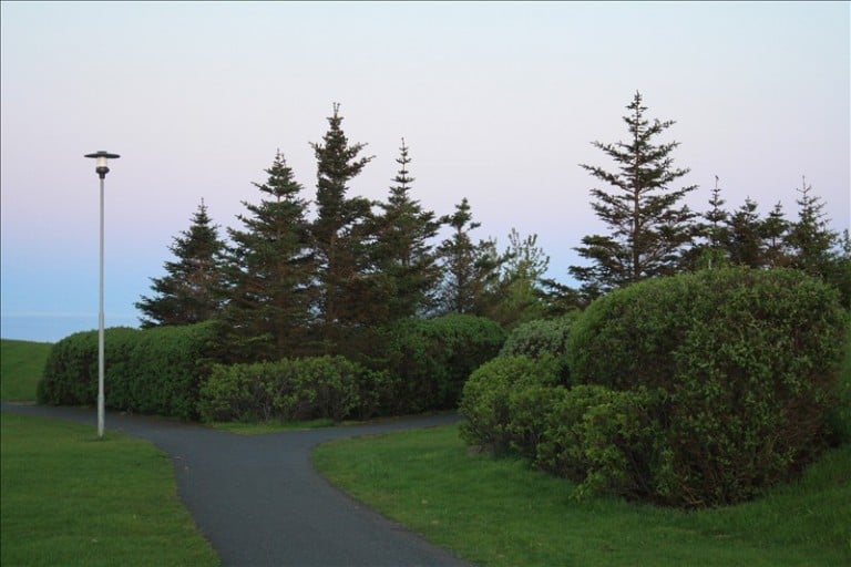 Fallegt umhverfi í Reykjanesbæ.