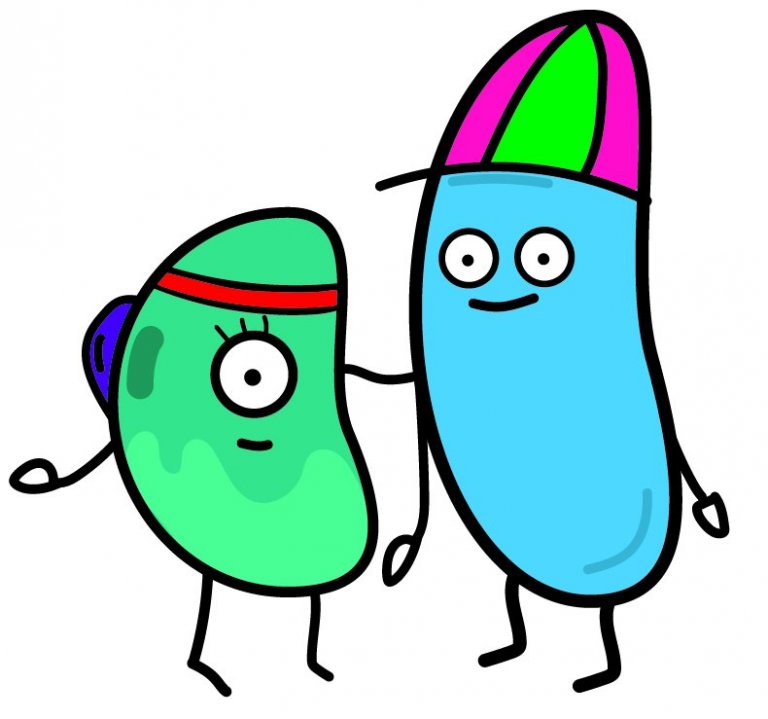 Tvær baunir á leið í ævintýri