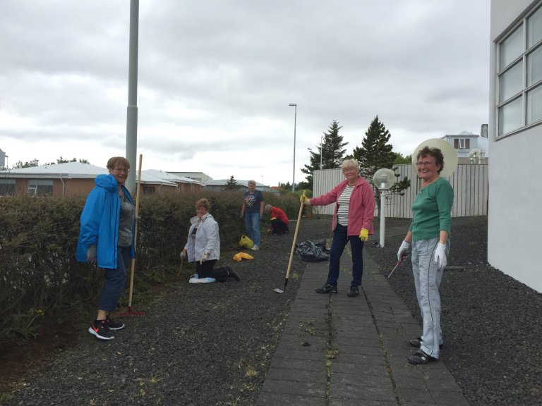 Íbúar í Hornbjargi gera fín í sínum beðum og umhverfi.