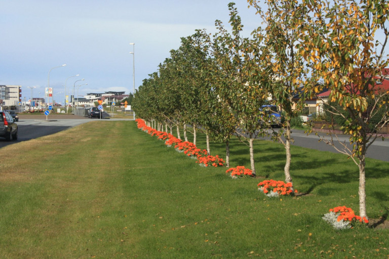 Vel snyrtur bær er fallegur bær.