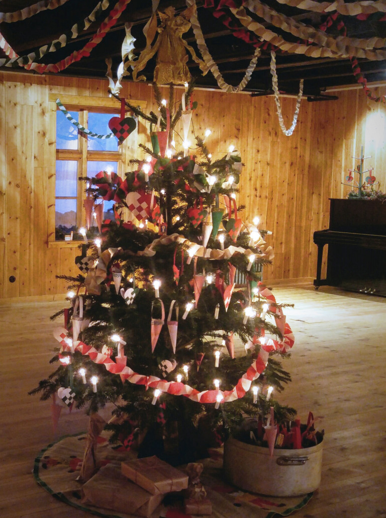 Jólatré í Stofu stendur