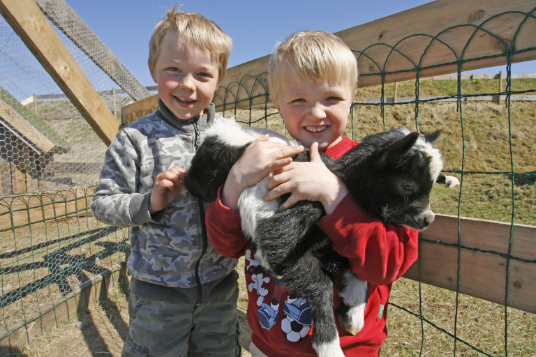 Gaman í landsnámsdýragarðinum.