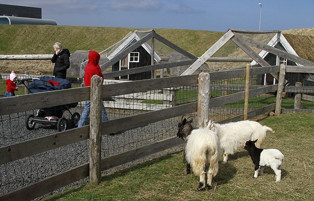 Frá landnámsdýragarðinum. Ljósmynd: VF