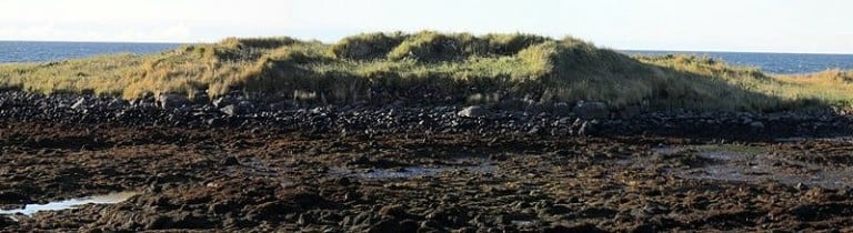 Hér undir eru rústir.